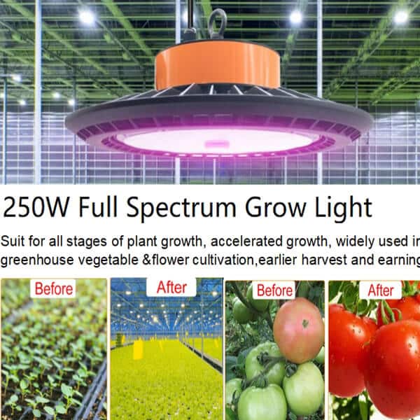 full spectrum grow lights