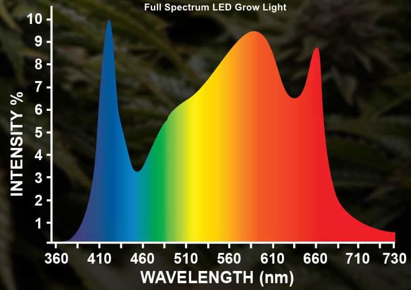 full spectrum LED grow lights