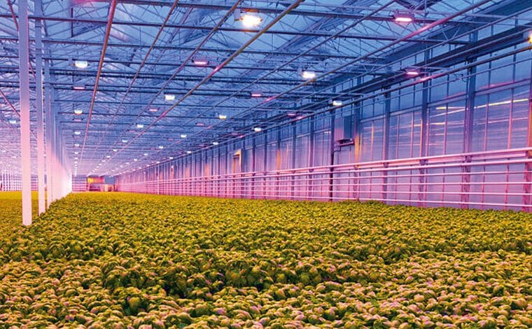 How to choose the best LED grow lights in 2022 ?
